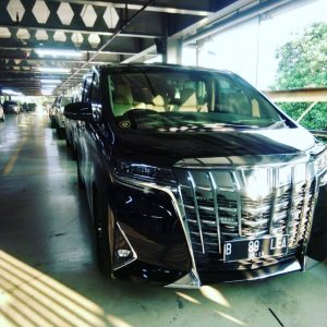RENTAL MOBIL ALPHARD TANGERANG